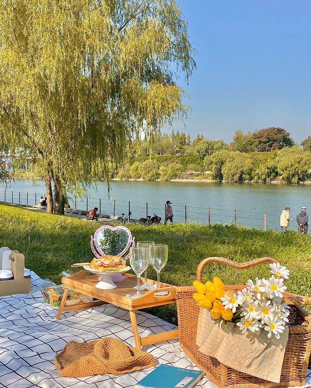 10 Picnic Spots In Seoul That Make You Feel Like You’re In A Fairytale