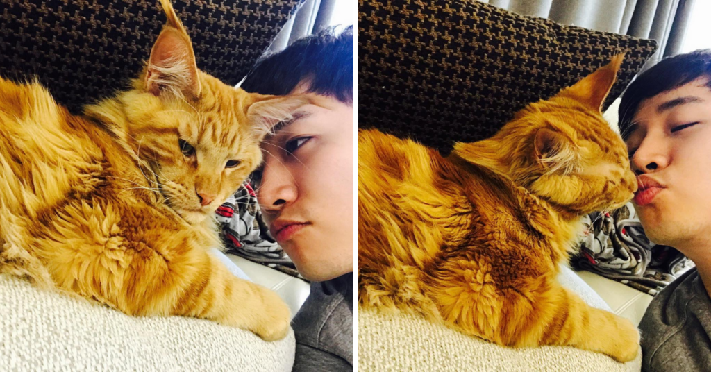 Lee Jun Ho - Lee Jun Ho with his late cat Lambo