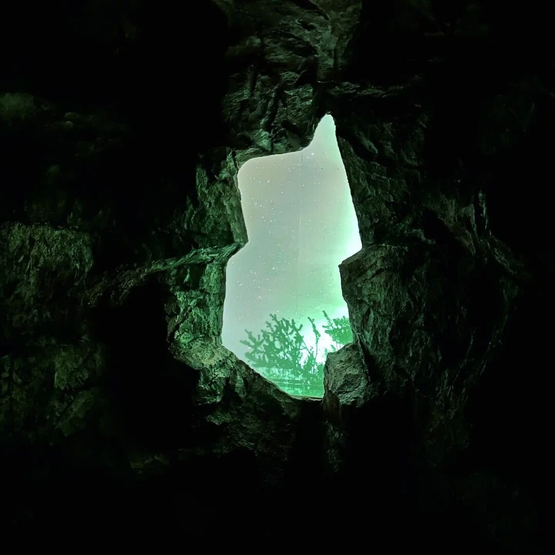 Sumsei Terrarium Immersive GalleryCafe To Reconnect With Nature