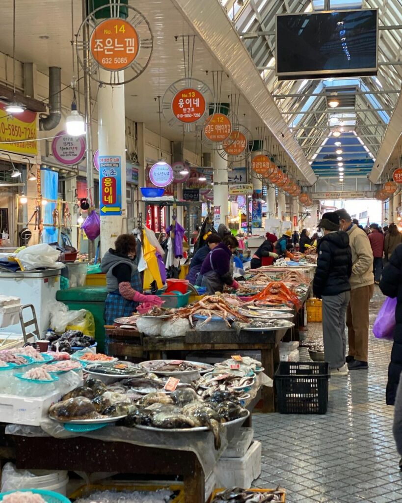 Fish markets Korea - Sokcho Tourist Fish Market