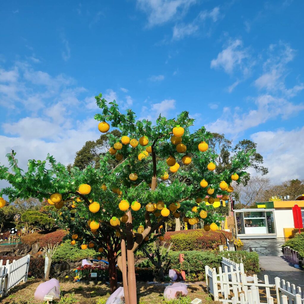 Things to do Jeju - tangerine tree made of glass