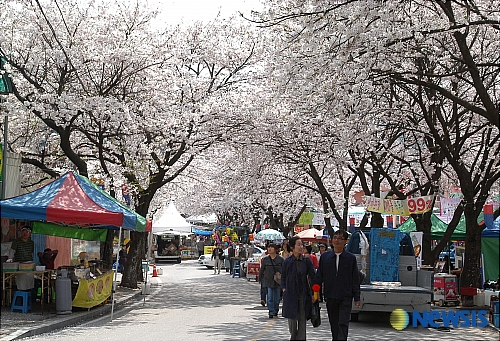 cherry blossom festivals - cheongpunghoban food