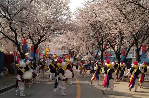 cherry blossom festivals - cheongpunghoban performance