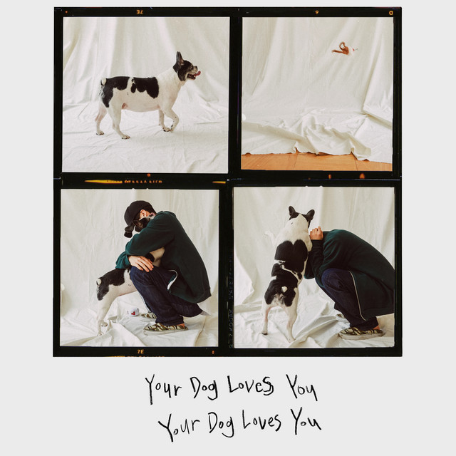Korean R&B songs - your dog loves you by colde