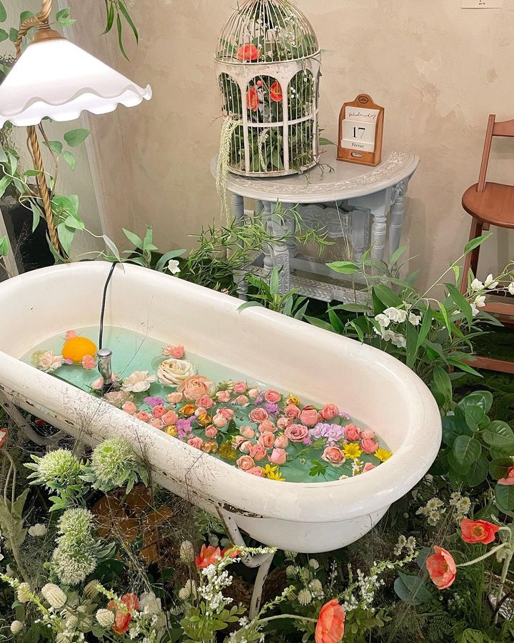 New cafes in Daegu - flower bathtub in a cafe