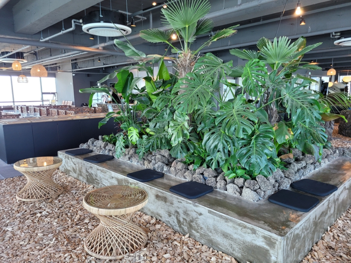 New cafes in Incheon - cafe with indoor forest aesthetic 