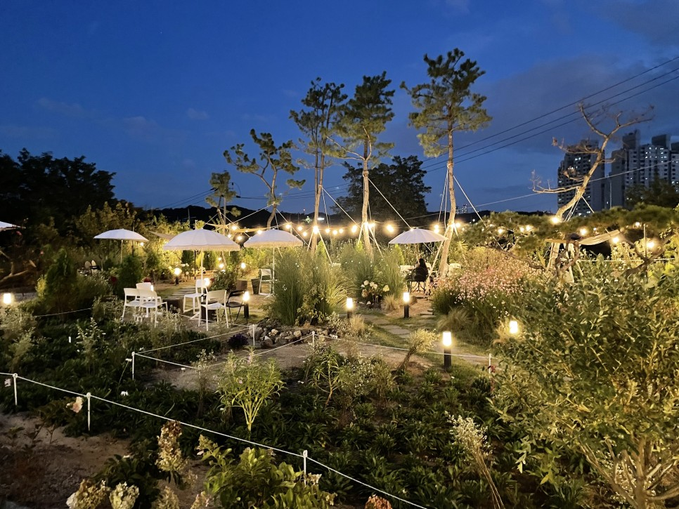 New cafes in Incheon - the view of the cafe garden at night 