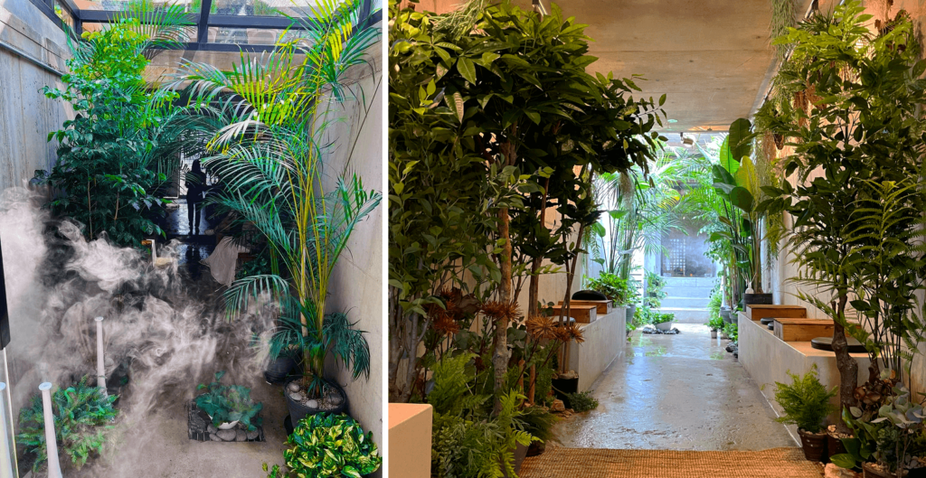Pie In The Shop - basement filled with plants 
