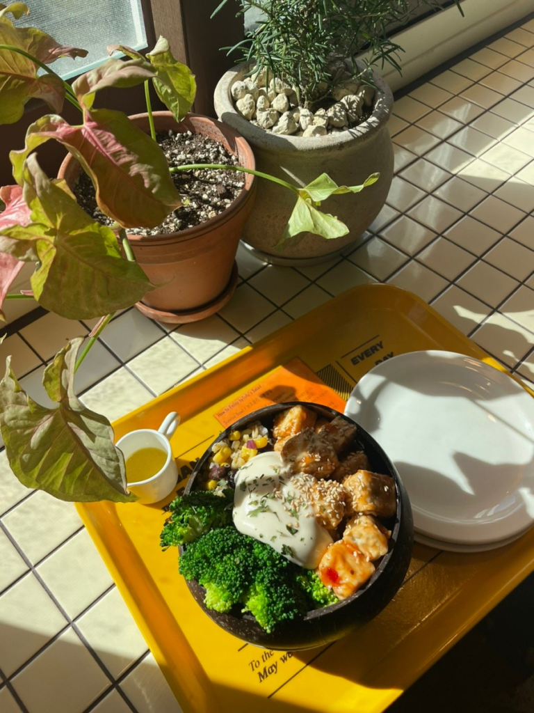 Vegan food Seoul - vegan tofu salad 