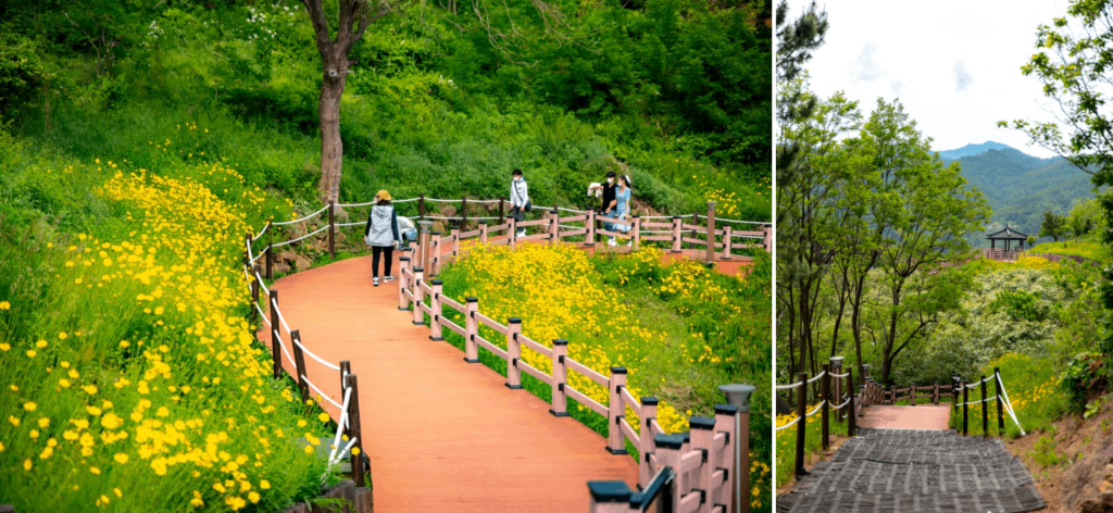 Lady Suro Flower Tribute Park - beautiful scenery while hiking 