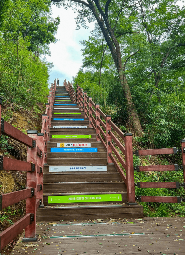 Lady Suro Flower Tribute Park - stairs in the hiking trail 